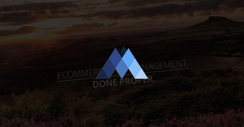 PPC Specialists Web Design by Tad Web Solutions