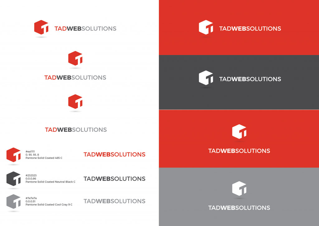 Tad Web Solutions branding as of October 2016 by Squegg