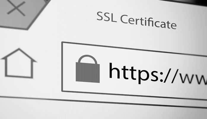 What is Web Security? How You Can Secure Your Website