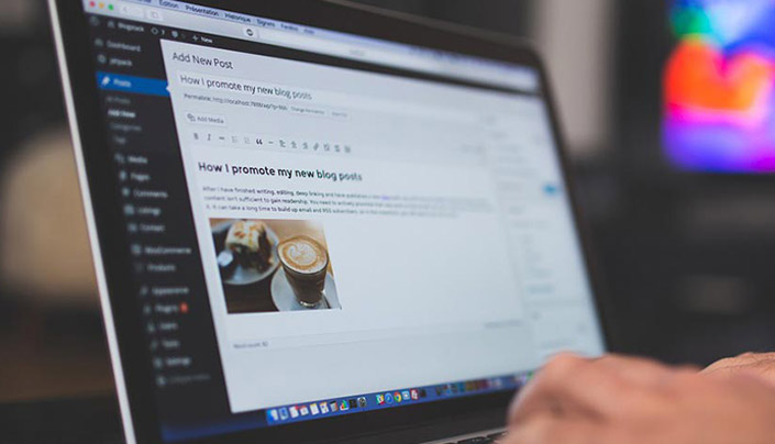 WordPress: Why should I use it?
